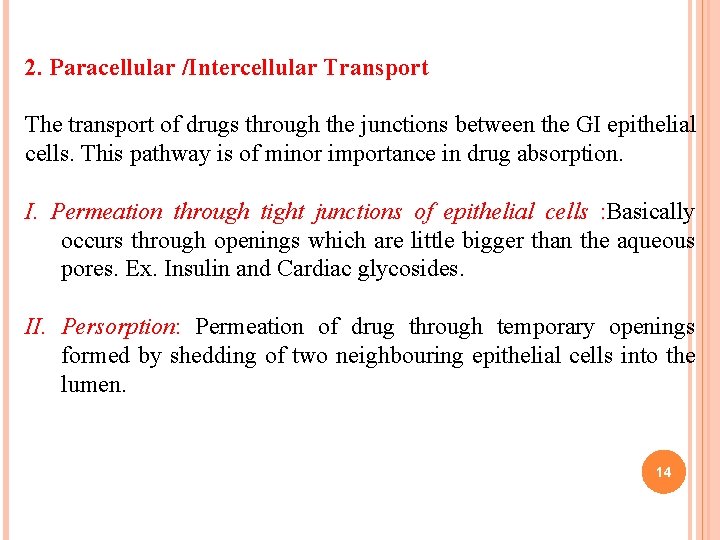 2. Paracellular /Intercellular Transport The transport of drugs through the junctions between the GI 2. Paracellular /Intercellular Transport The transport of drugs through the junctions between the GI