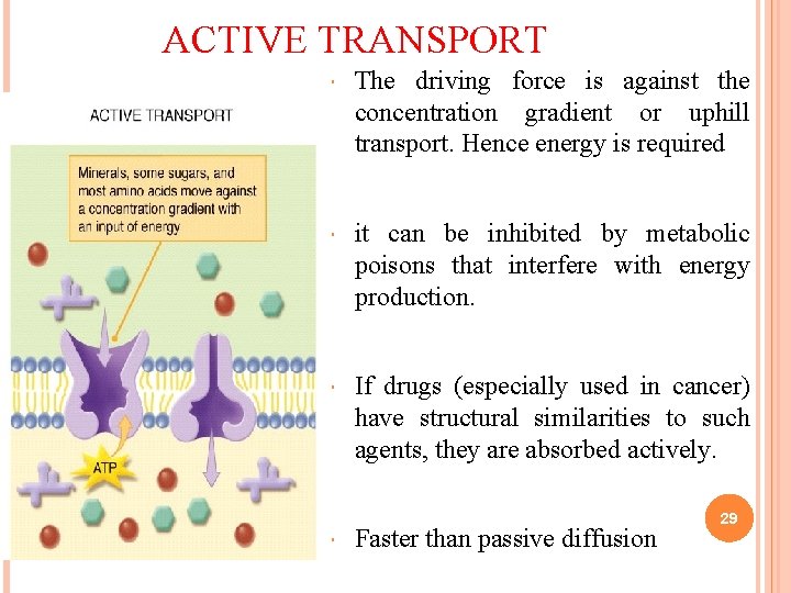 ACTIVE TRANSPORT The driving force is against the concentration gradient or uphill transport. Hence ACTIVE TRANSPORT The driving force is against the concentration gradient or uphill transport. Hence