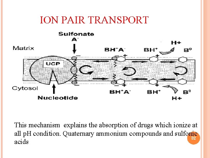 ION PAIR TRANSPORT This mechanism explains the absorption of drugs which ionize at all ION PAIR TRANSPORT This mechanism explains the absorption of drugs which ionize at all