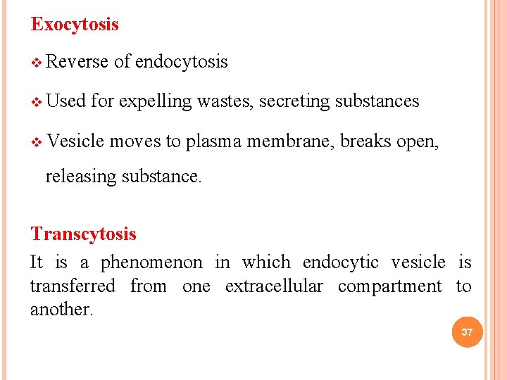 Exocytosis v Reverse v Used of endocytosis for expelling wastes, secreting substances v Vesicle Exocytosis v Reverse v Used of endocytosis for expelling wastes, secreting substances v Vesicle