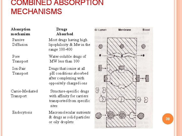 COMBINED ABSORPTION MECHANISMS Absorption mechanism Passive Diffusion Drugs Absorbed Most drugs having high lipophilicity COMBINED ABSORPTION MECHANISMS Absorption mechanism Passive Diffusion Drugs Absorbed Most drugs having high lipophilicity