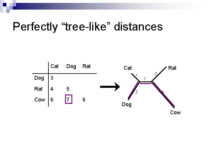 Perfectly “tree-like” distances Cat Dog Rat Cat Rat 1 Dog 3 Rat 4 5