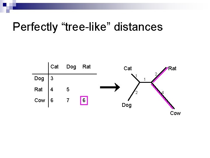 Perfectly “tree-like” distances Cat Dog Rat Cat Rat 1 Dog 3 Rat 4 5