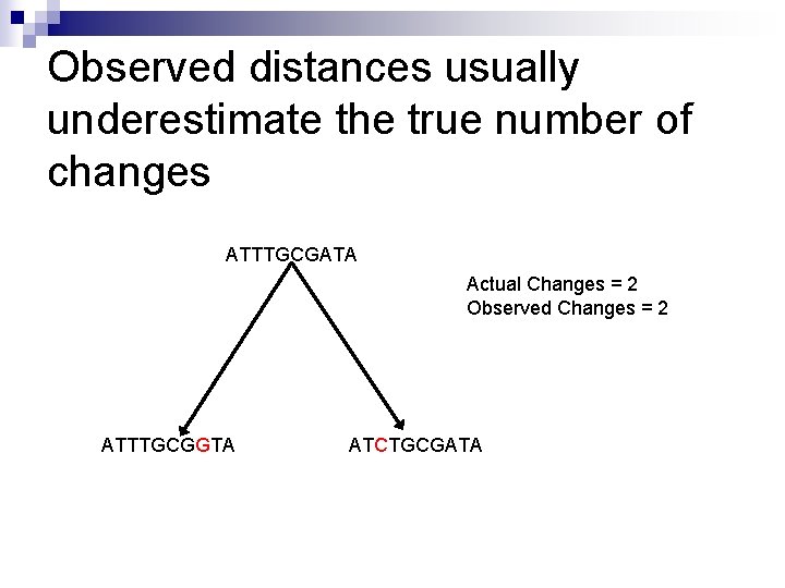 Observed distances usually underestimate the true number of changes ATTTGCGATA Actual Changes = 2