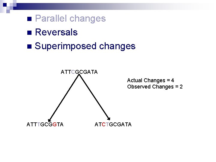 Parallel changes n Reversals n Superimposed changes n ATTCGCGATA Actual Changes = 4 Observed