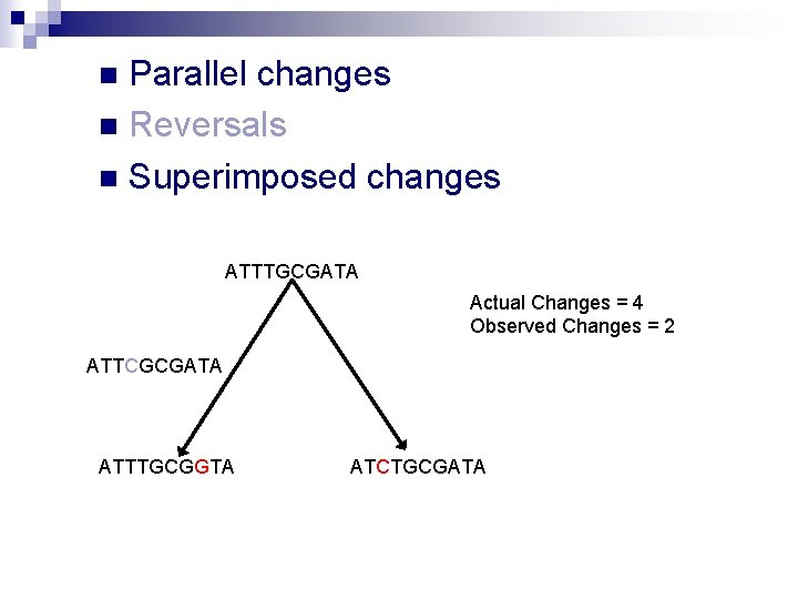 Parallel changes n Reversals n Superimposed changes n ATTTGCGATA Actual Changes = 4 Observed