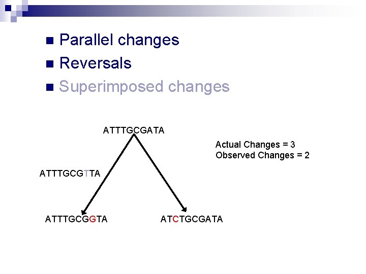 Parallel changes n Reversals n Superimposed changes n ATTTGCGATA Actual Changes = 3 Observed