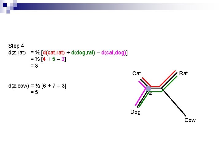 Step 4 d(z, rat) = ½ [d(cat, rat) + d(dog, rat) – d(cat, dog)]
