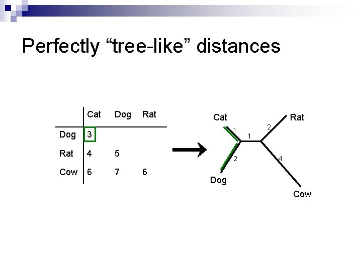 Perfectly “tree-like” distances Cat Dog Rat Cat Rat 1 Dog 3 Rat 4 5