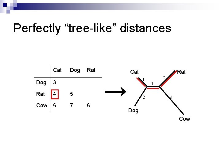 Perfectly “tree-like” distances Cat Dog Rat Cat Rat 1 Dog 3 Rat 4 5