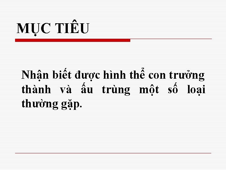 MỤC TIÊU Nhận biết được hình thể con trưởng thành và ấu trùng một