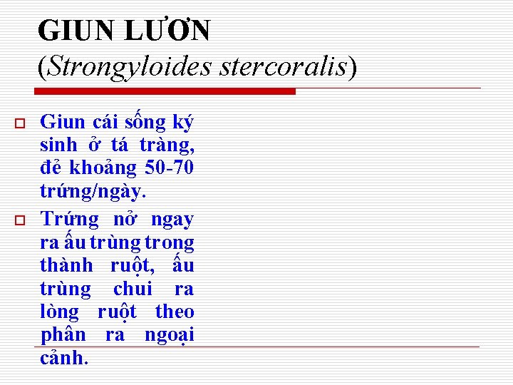 GIUN LƯƠN (Strongyloides stercoralis) o o Giun cái sống ký sinh ở tá tràng,