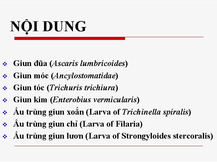 NỘI DUNG v v v v Giun đũa (Ascaris lumbricoides) Giun móc (Ancylostomatidae) Giun