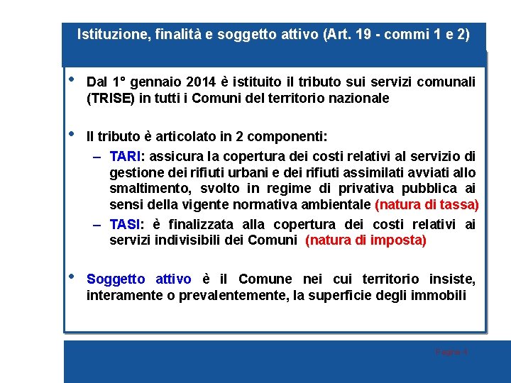 Istituzione, finalità e soggetto attivo (Art. 19 - commi 1 e 2) • Dal