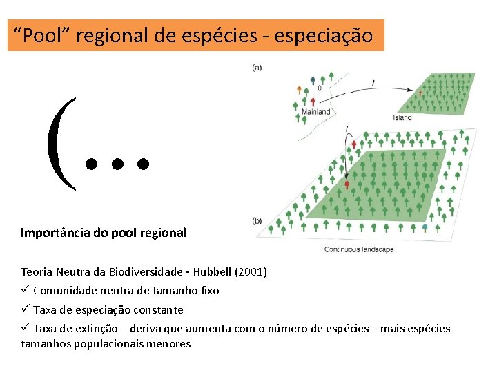 “Pool” regional de espécies - especiação (. . . Importância do pool regional Teoria