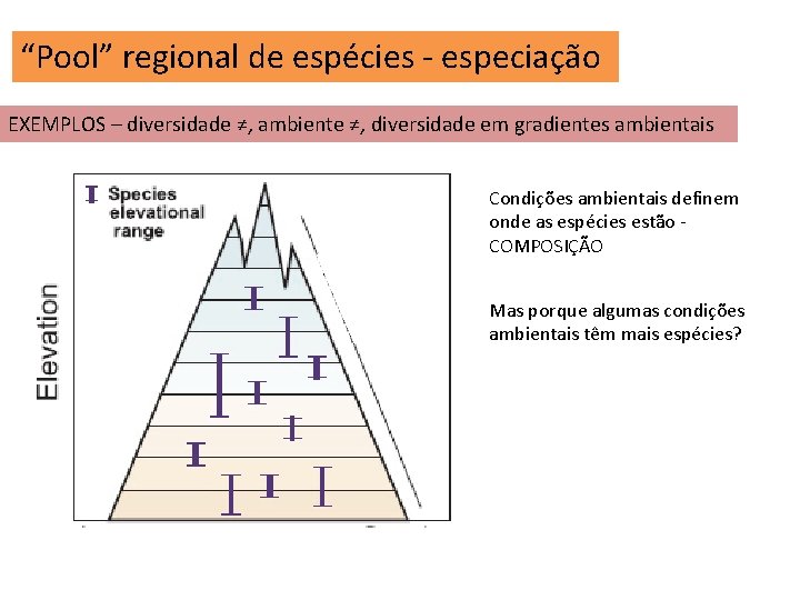 “Pool” regional de espécies - especiação EXEMPLOS – diversidade ≠, ambiente ≠, diversidade em