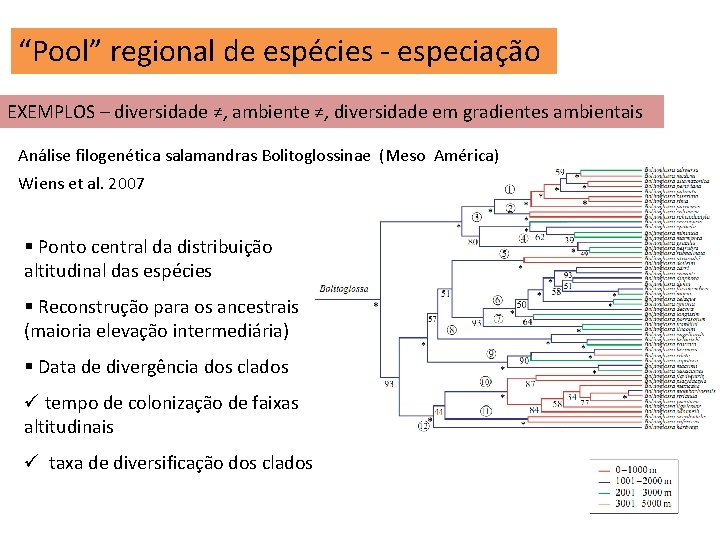 “Pool” regional de espécies - especiação EXEMPLOS – diversidade ≠, ambiente ≠, diversidade em