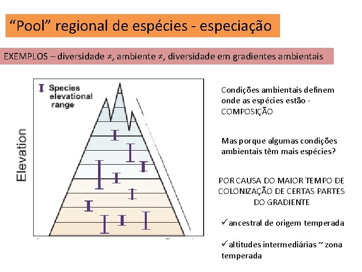 “Pool” regional de espécies - especiação EXEMPLOS – diversidade ≠, ambiente ≠, diversidade em