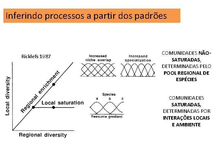 Inferindo processos a partir dos padrões Ricklefs 1987 COMUNIDADES NÃOSATURADAS, DETERMINADAS PELO POOL REGIONAL