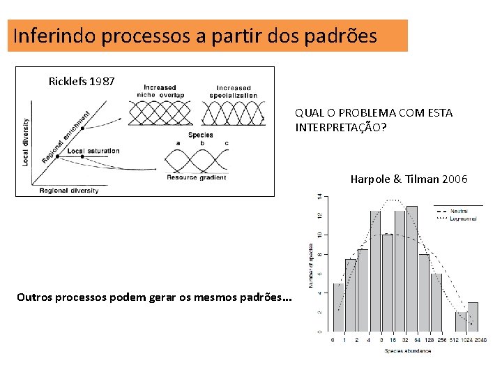 Inferindo processos a partir dos padrões Ricklefs 1987 QUAL O PROBLEMA COM ESTA INTERPRETAÇÃO?