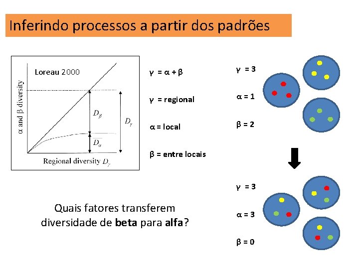 Inferindo processos a partir dos padrões Loreau 2000 γ =α+β γ =3 γ =