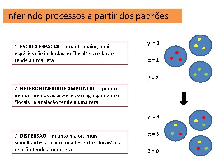 Inferindo processos a partir dos padrões 1. ESCALA ESPACIAL – quanto maior, mais espécies