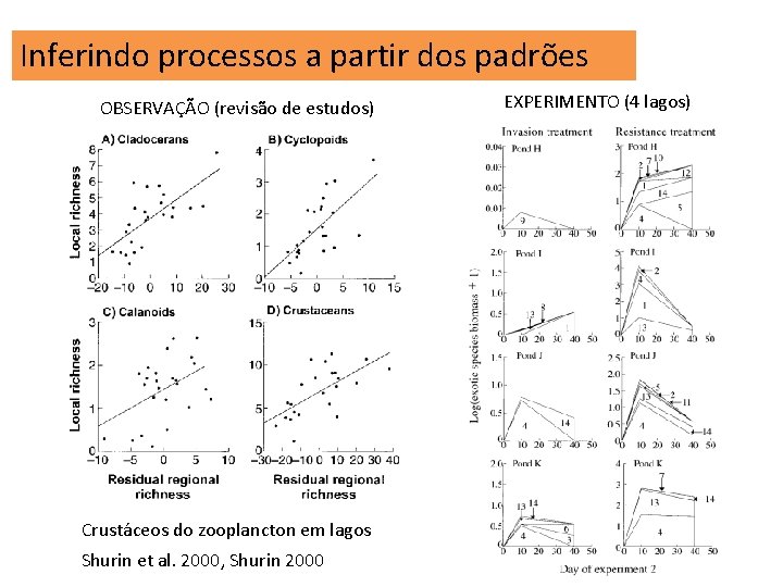 Inferindo processos a partir dos padrões OBSERVAÇÃO (revisão de estudos) Crustáceos do zooplancton em