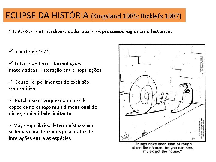 ECLIPSE DA HISTÓRIA (Kingsland 1985; Ricklefs 1987) ü DIVÓRCIO entre a diversidade local e