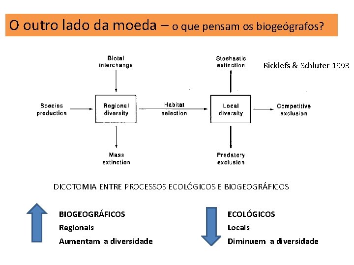 O outro lado da moeda – o que pensam os biogeógrafos? Ricklefs & Schluter