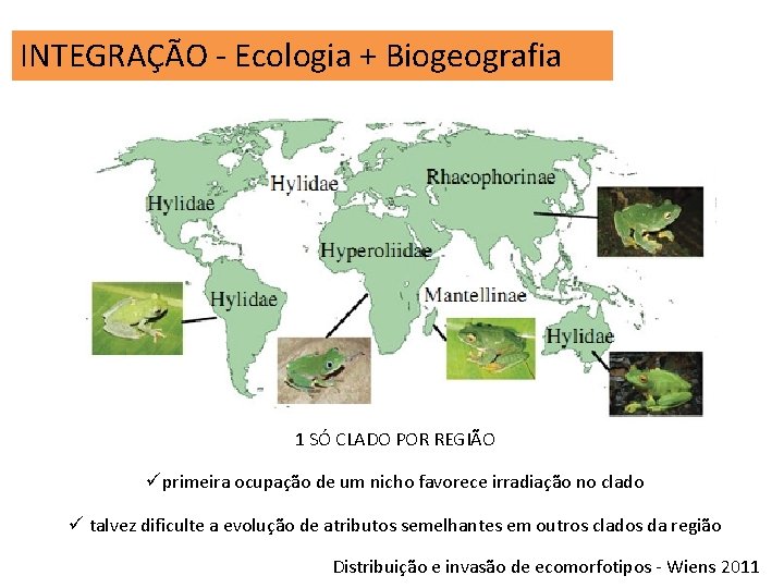 INTEGRAÇÃO - Ecologia + Biogeografia 1 SÓ CLADO POR REGIÃO üprimeira ocupação de um