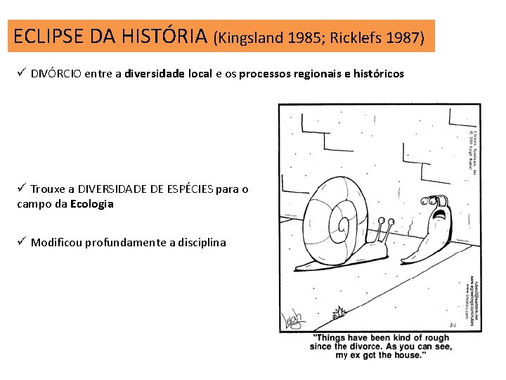 ECLIPSE DA HISTÓRIA (Kingsland 1985; Ricklefs 1987) ü DIVÓRCIO entre a diversidade local e