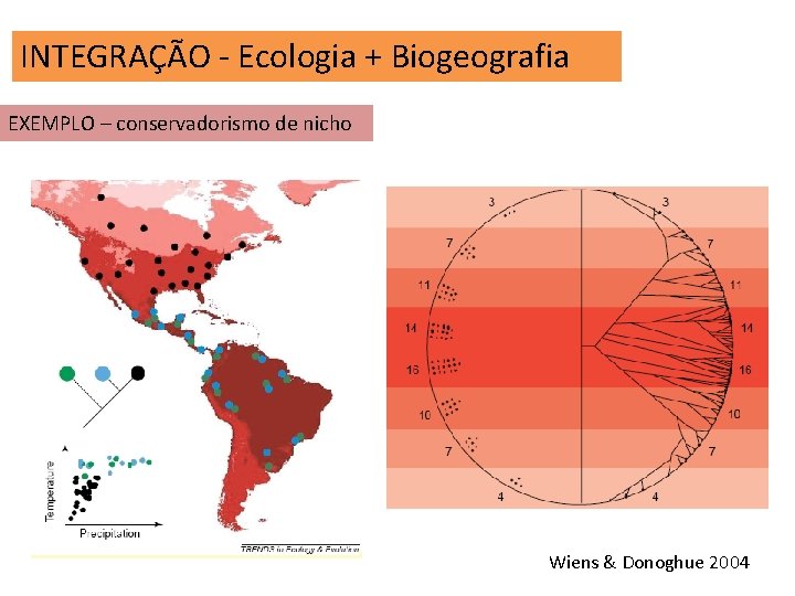 INTEGRAÇÃO - Ecologia + Biogeografia EXEMPLO – conservadorismo de nicho Wiens & Donoghue 2004