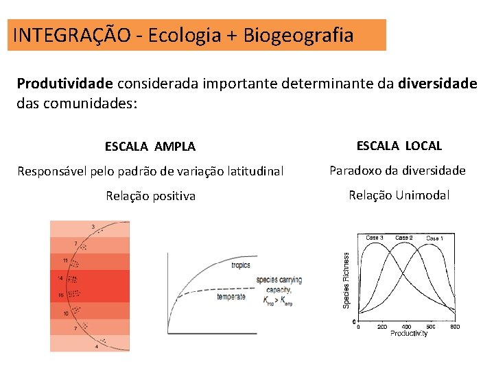 INTEGRAÇÃO - Ecologia + Biogeografia Produtividade considerada importante determinante da diversidade das comunidades: ESCALA