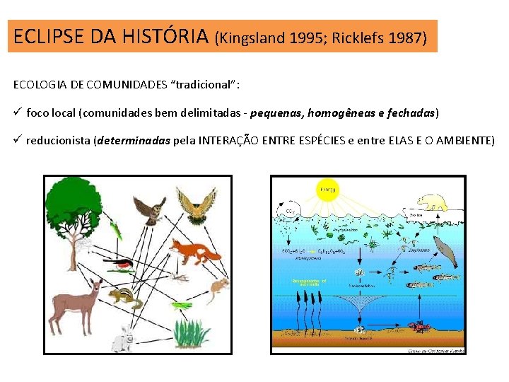 ECLIPSE DA HISTÓRIA (Kingsland 1995; Ricklefs 1987) ECOLOGIA DE COMUNIDADES “tradicional”: ü foco local