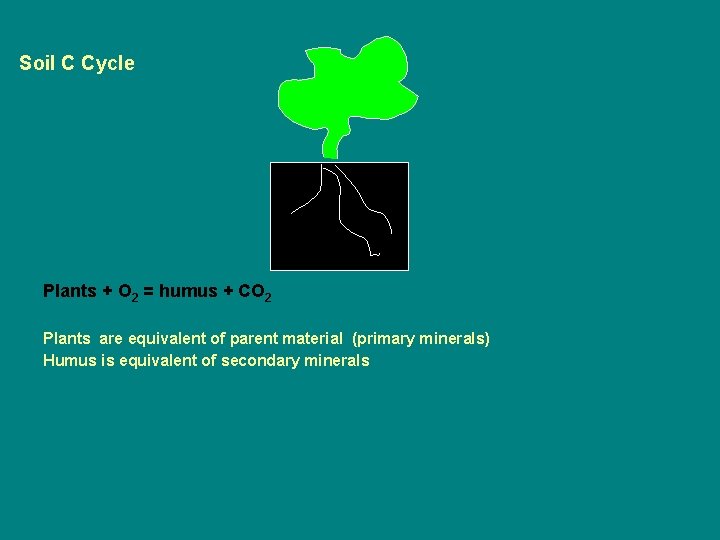 Soil C Cycle Plants + O 2 = humus + CO 2 Plants are