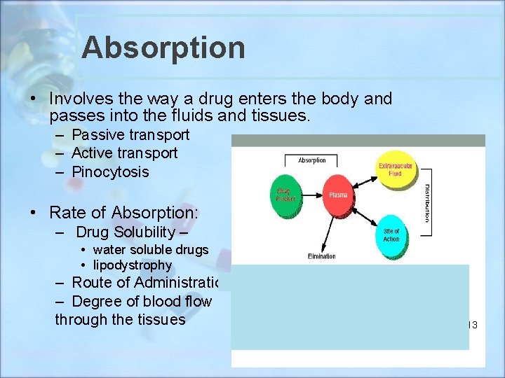 Absorption • Involves the way a drug enters the body and passes into the