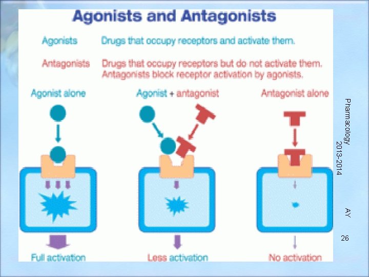Pharmacology 2013 -2014 AY 26 