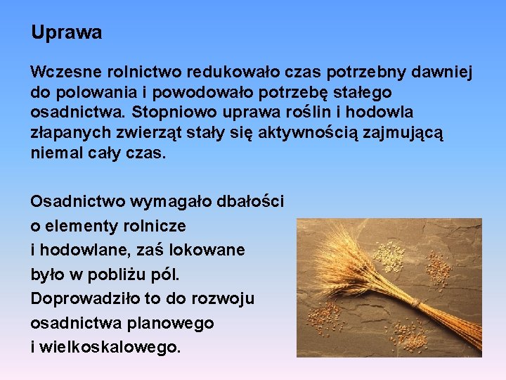 Uprawa Wczesne rolnictwo redukowało czas potrzebny dawniej do polowania i powodowało potrzebę stałego osadnictwa.