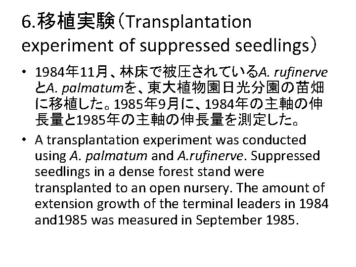 6. 移植実験（Transplantation experiment of suppressed seedlings） • 1984年 11月、林床で被圧されているA. rufinerve とA. palmatumを、東大植物園日光分園の苗畑 に移植した。1985年 9月に、1984年の主軸の伸
