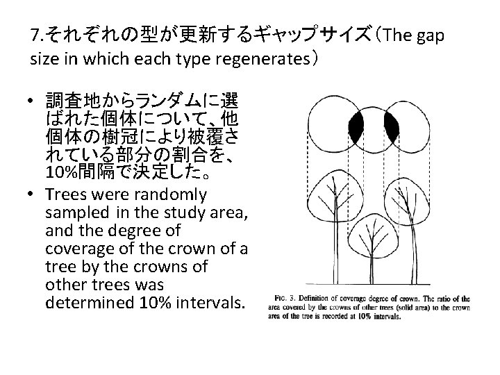 7. それぞれの型が更新するギャップサイズ（The gap size in which each type regenerates） • 調査地からランダムに選 ばれた個体について、他 個体の樹冠により被覆さ れている部分の割合を、
