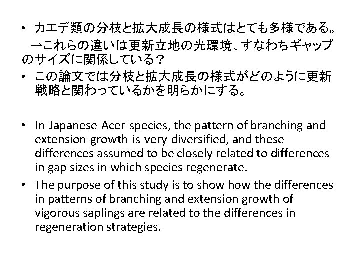  • カエデ類の分枝と拡大成長の様式はとても多様である。 →これらの違いは更新立地の光環境、すなわちギャップ のサイズに関係している？ • この論文では分枝と拡大成長の様式がどのように更新 戦略と関わっているかを明らかにする。 • In Japanese Acer species, the