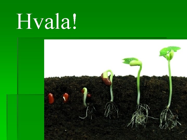 Hvala! 