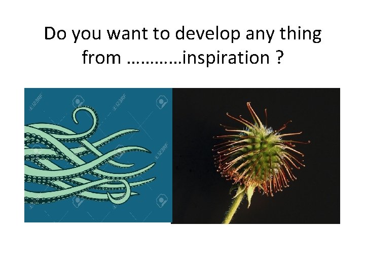 Do you want to develop any thing from …………inspiration ? 