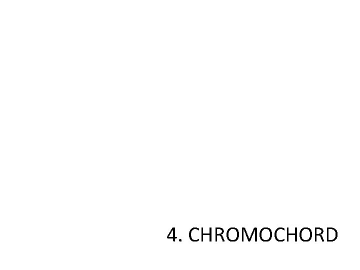 4. CHROMOCHORD 
