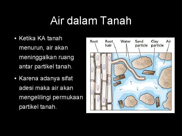 Air dalam Tanah • Ketika KA tanah menurun, air akan meninggalkan ruang antar partikel