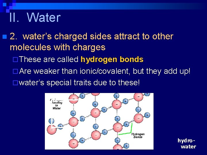 II. Water n 2. water’s charged sides attract to other molecules with charges ¨