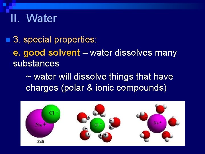 II. Water n 3. special properties: e. good solvent – water dissolves many substances