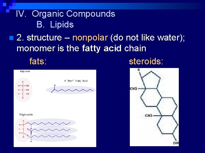 IV. Organic Compounds B. Lipids n 2. structure – nonpolar (do not like water);