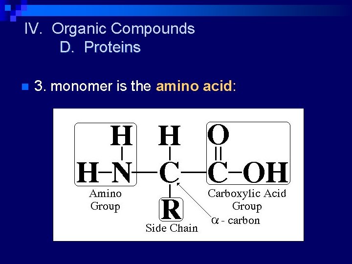 IV. Organic Compounds D. Proteins n 3. monomer is the amino acid: 