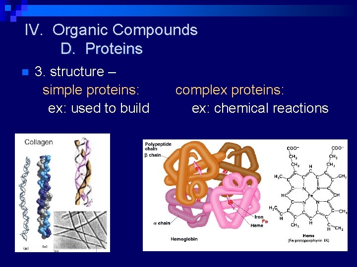 IV. Organic Compounds D. Proteins n 3. structure – simple proteins: ex: used to